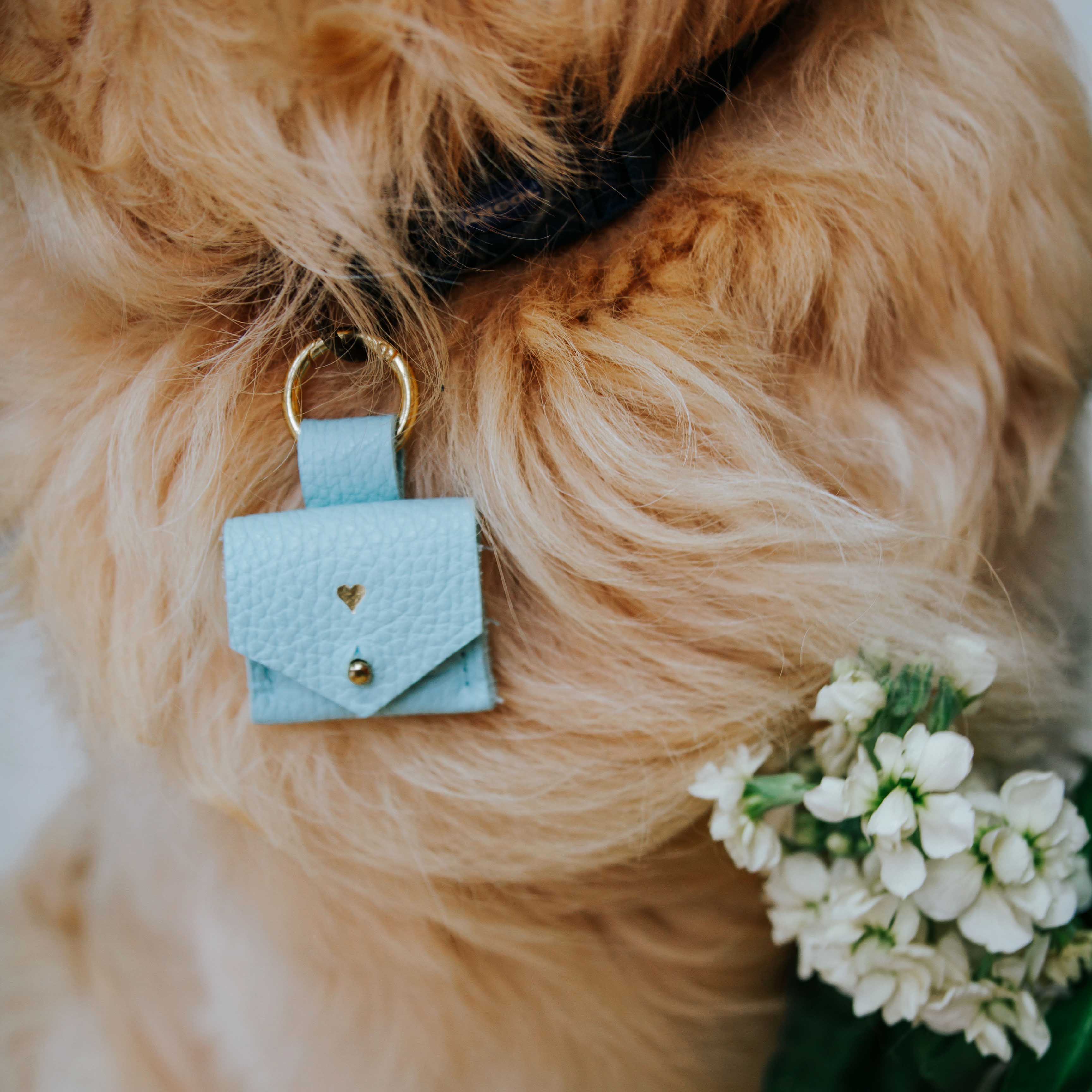 Dog ring bearer collar best sale