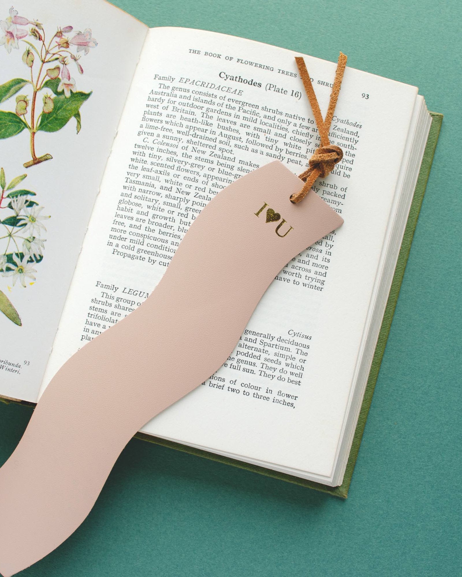 Pink wavy leather bookmark on a green background