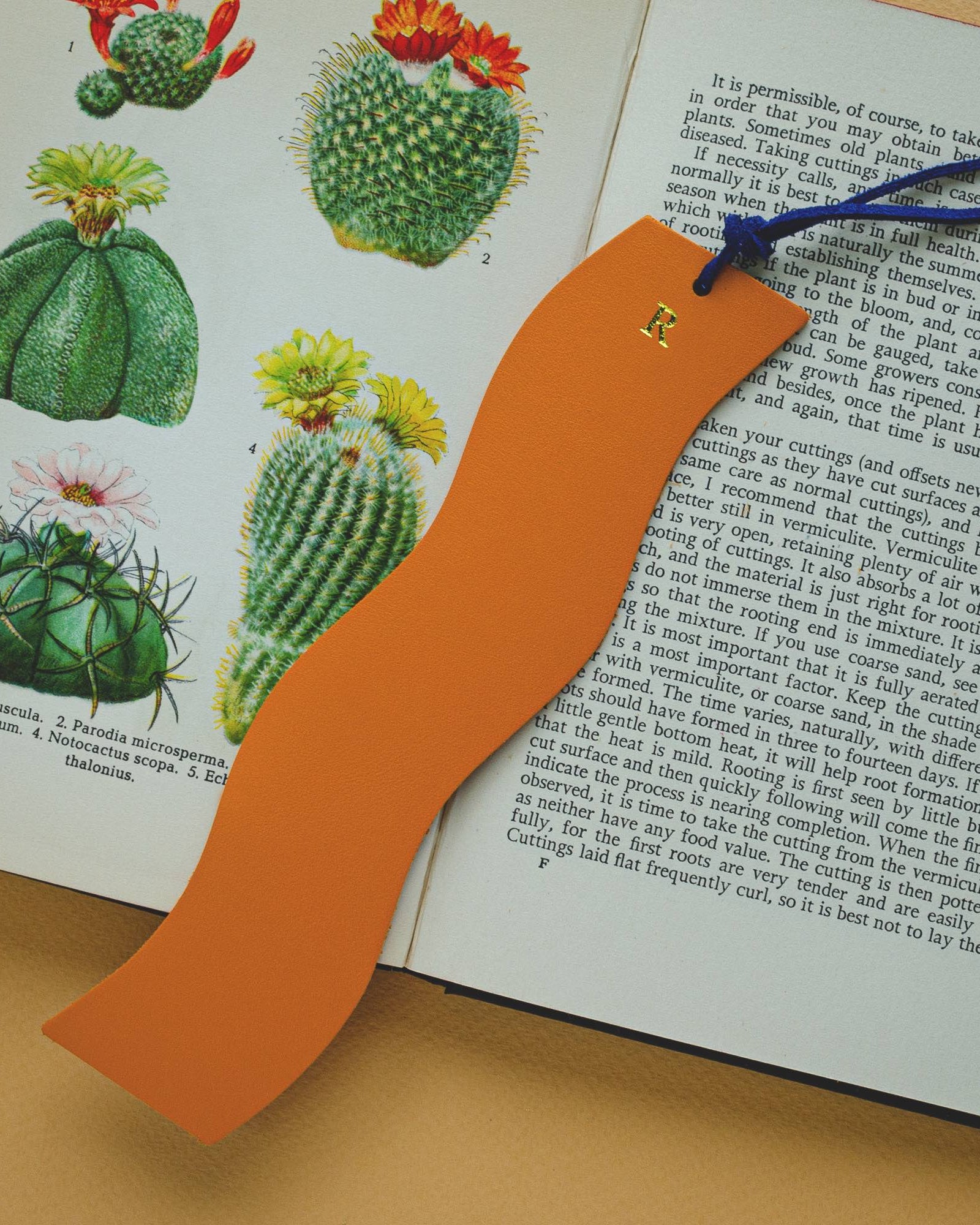 Orange wavy leather booksmark on an open book.