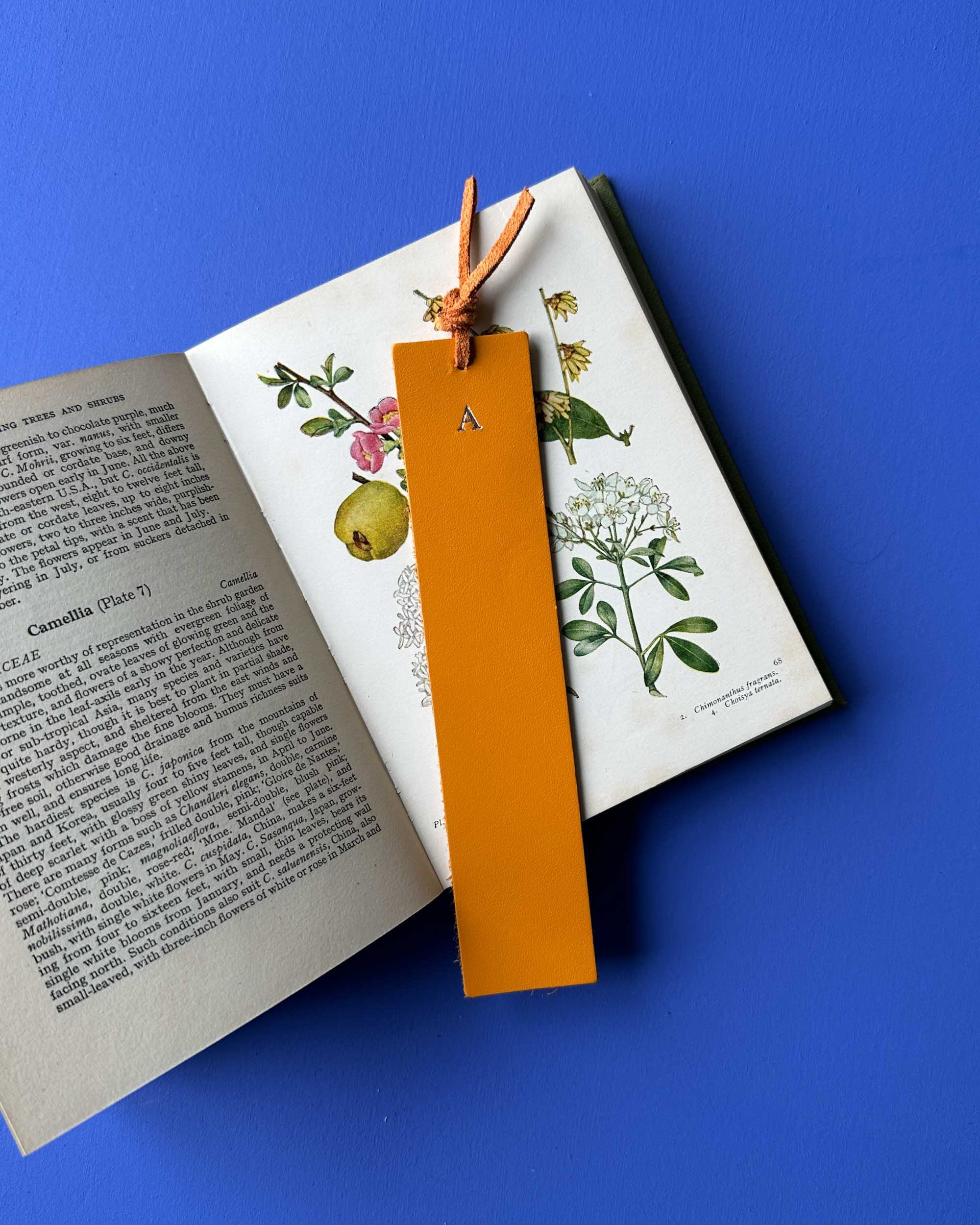 Orange leather bookmark on an open book with botanical illustrations against a blue background