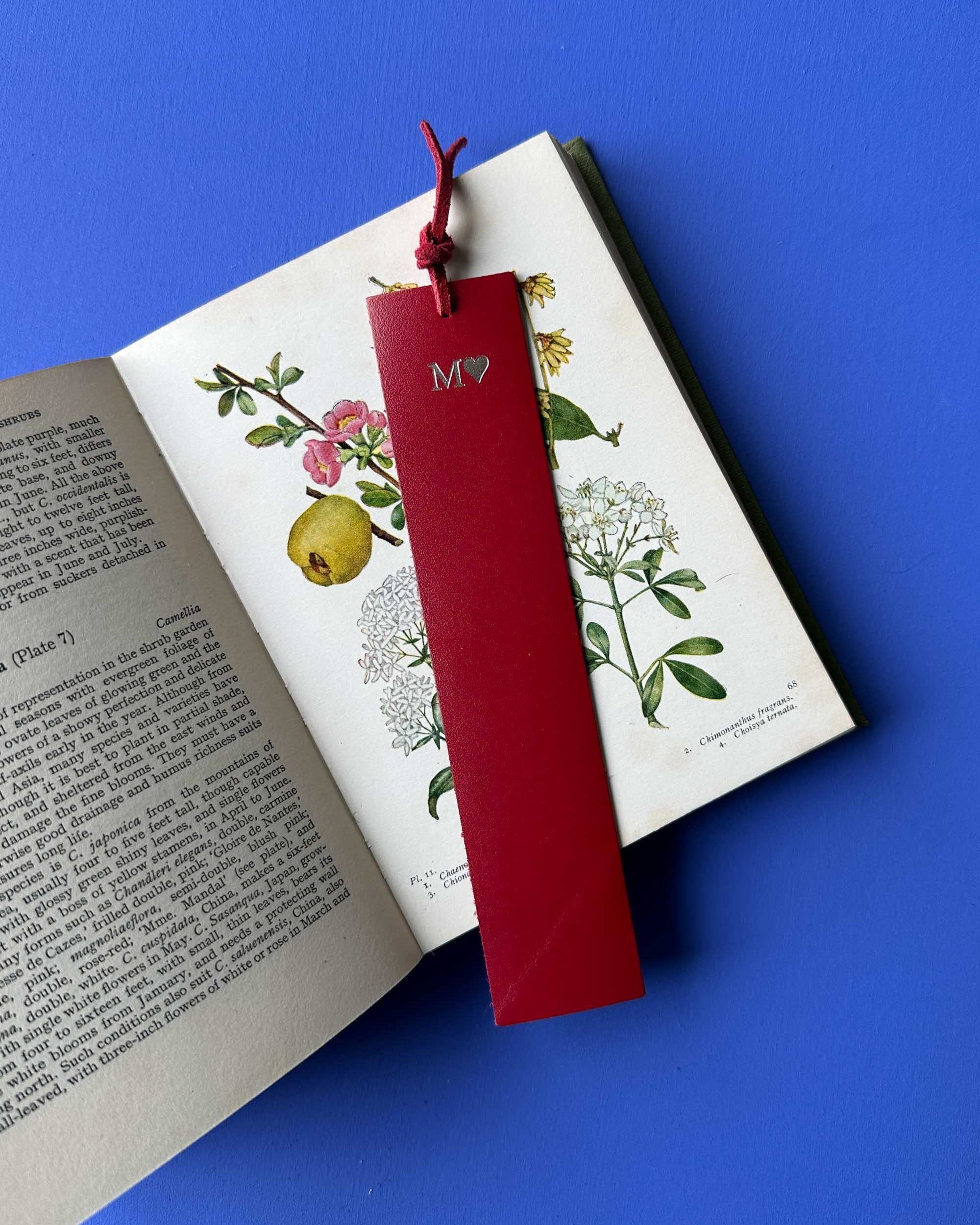 Red bookmark with a heart design on an open book with botanical illustrations against a blue background