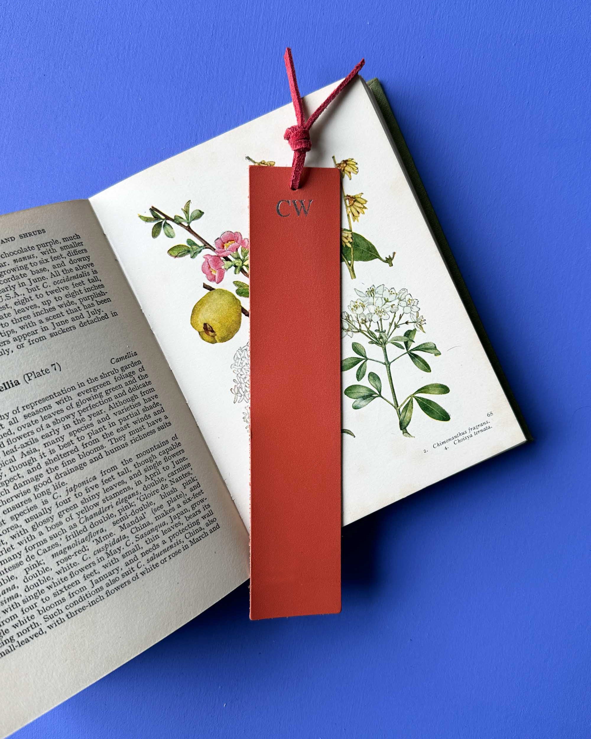 Red leather bookmark with initials on an open book with botanical illustrations against a blue background
