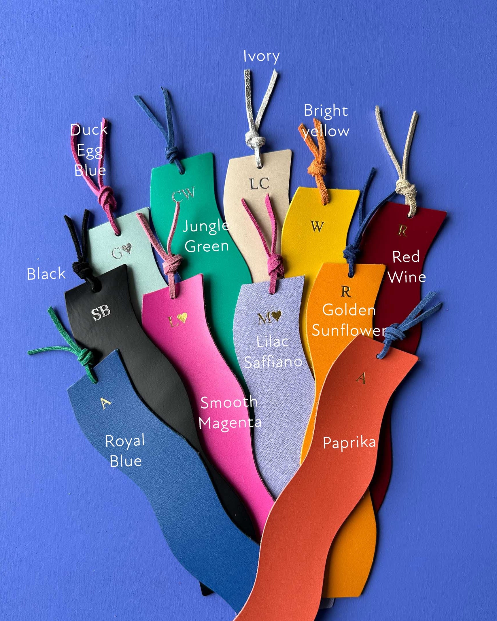 Color swatches with labels on a blue background