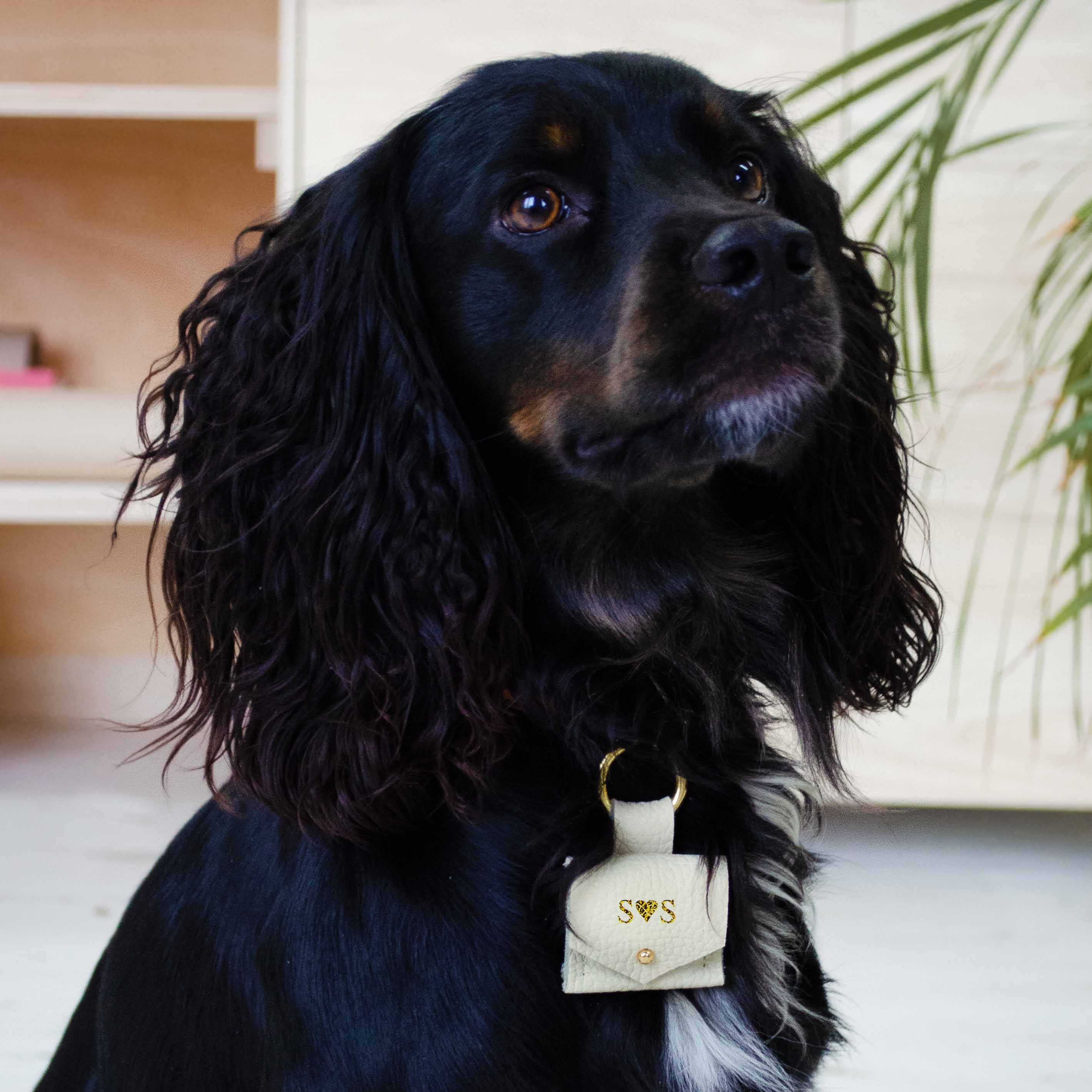 Cream leather dog ring bearer pouch worn on a triple colour working cocker spaniel puppy