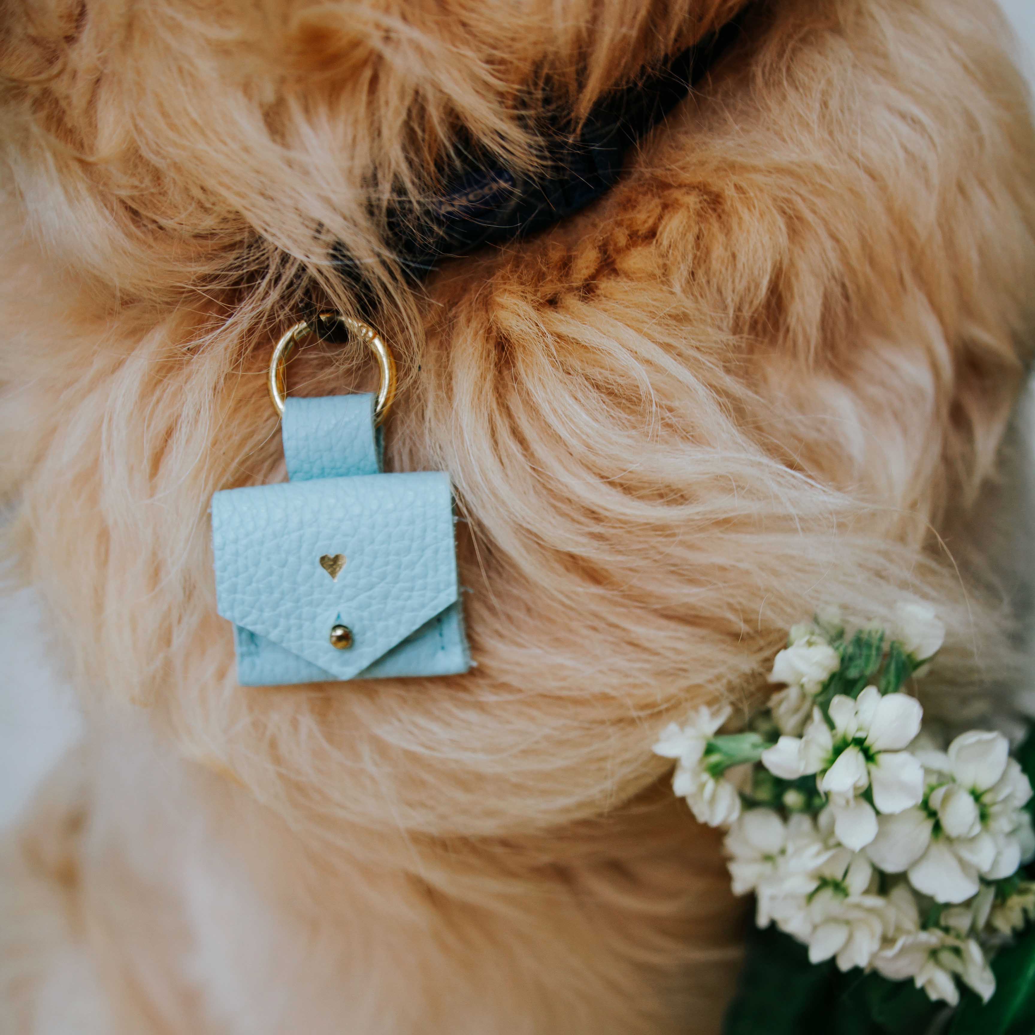 Pale blue wedding ring pouch attached to golden retrievers collar for wedding.