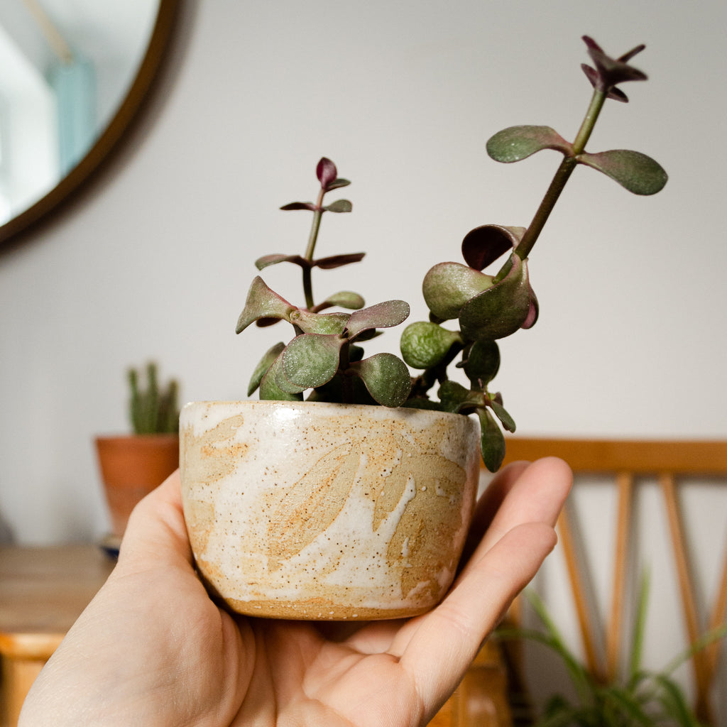Homeware
