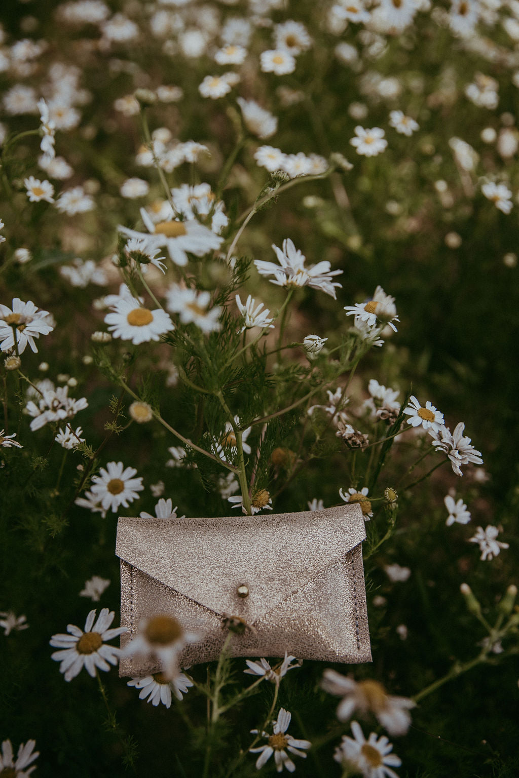 Small gold envelope-shaped pouch in a field of white flowers