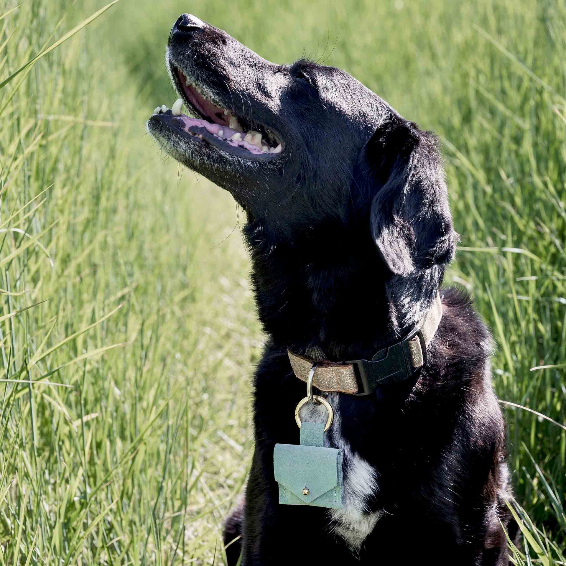 Suede Dog Ring Bearer Pouch Mint Green No Silver