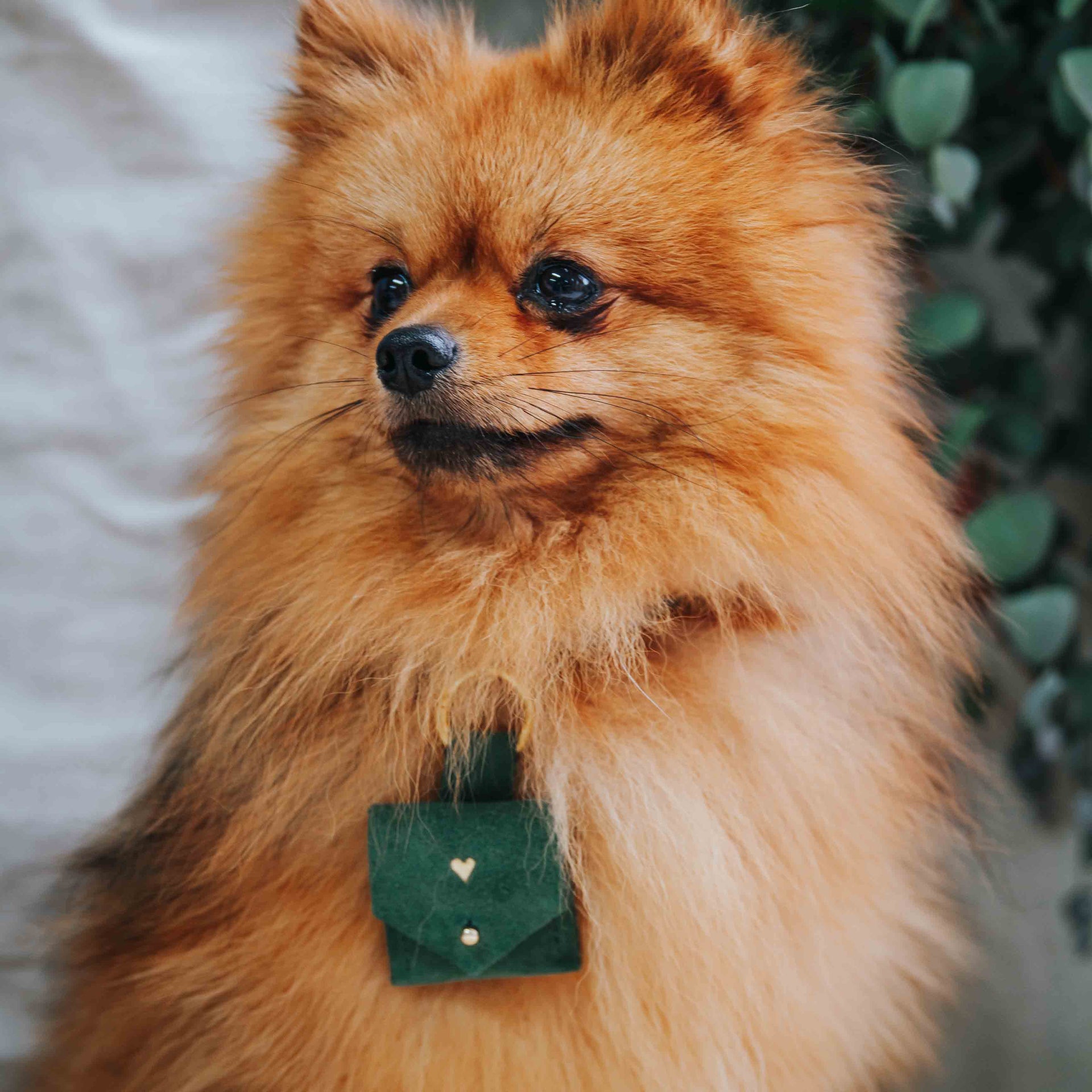 Suede Dog Ring Bearer Pouch Moss Green No Silver