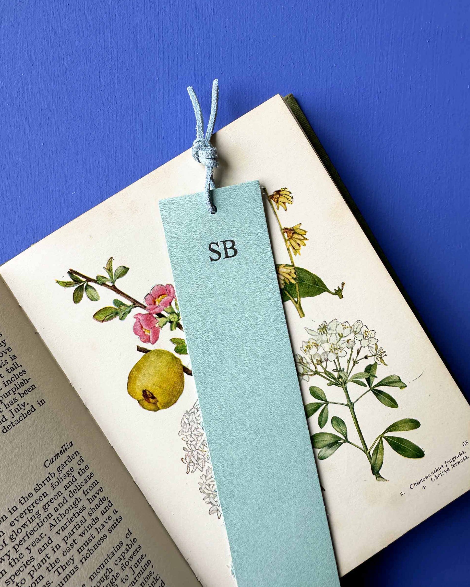 Light blue bookmark with 'SB' initials on a book with botanical illustrations against a blue background