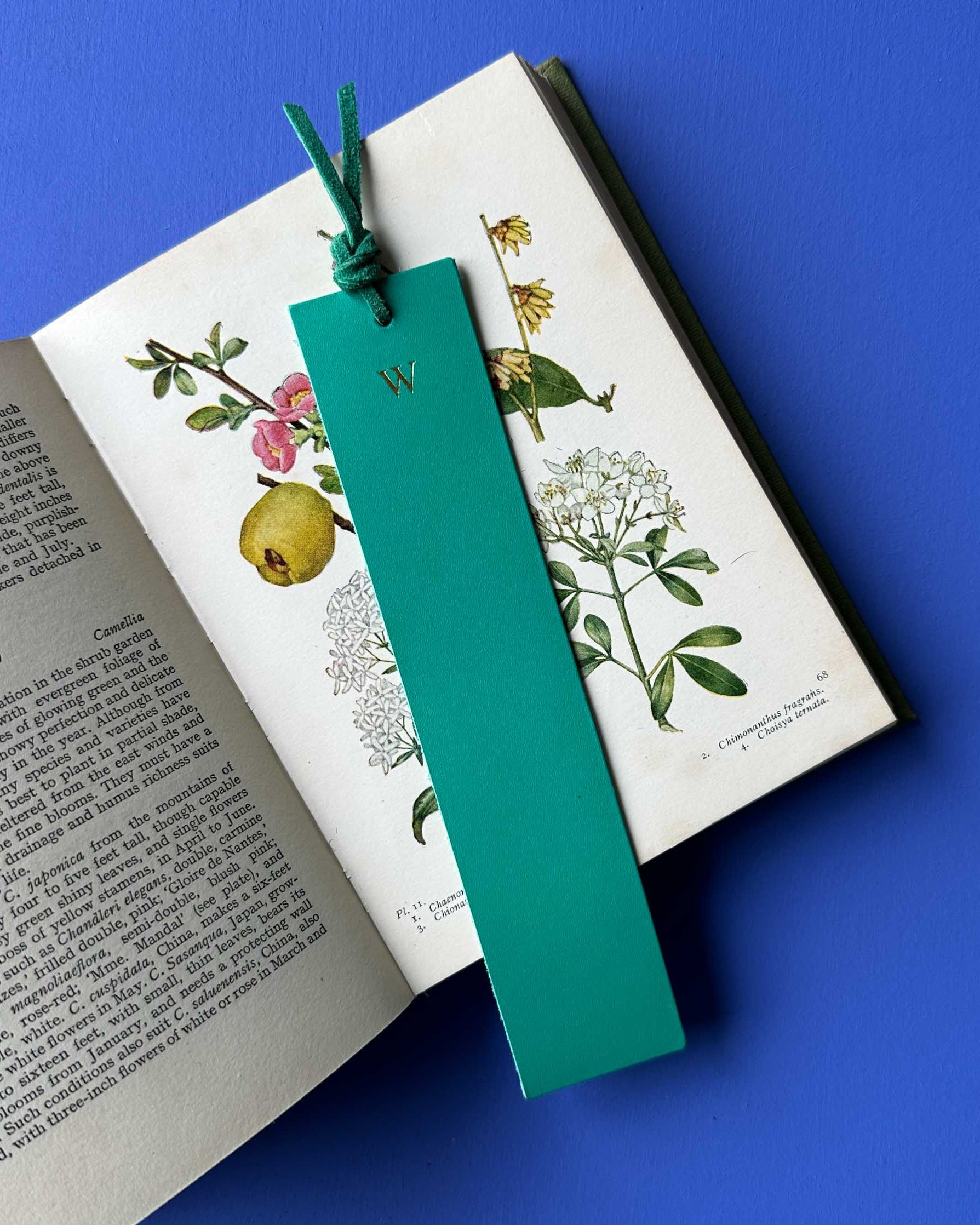 Green bookmark with a monogram on an open book with botanical illustrations against a blue background
