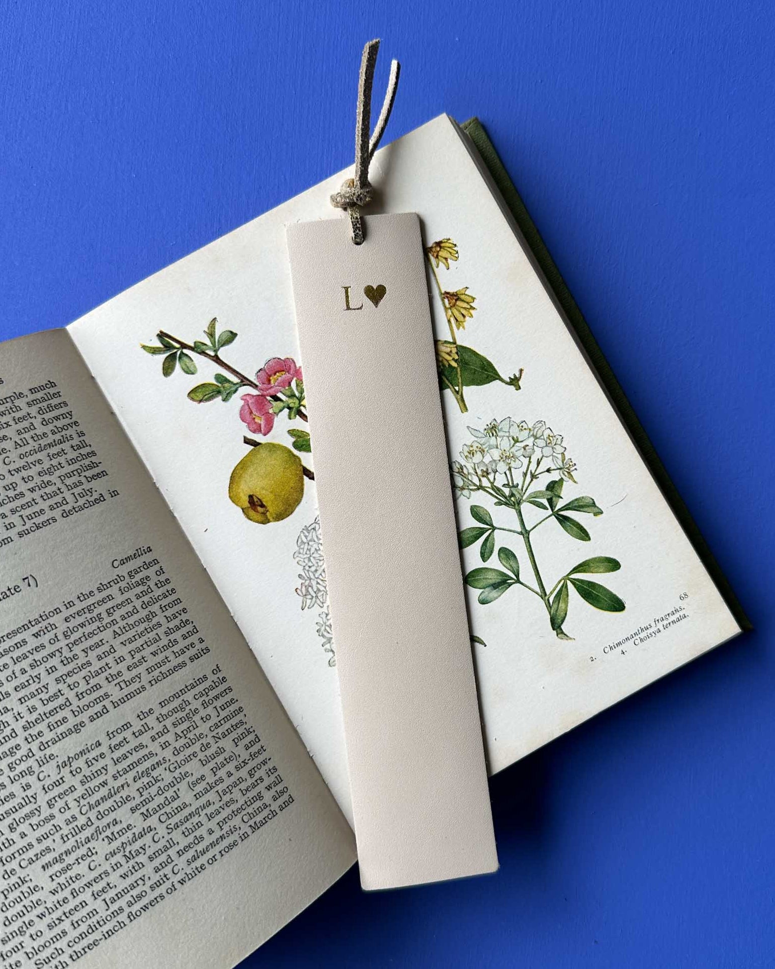 Leather cream bookmark with 'L' on a book against a blue background
