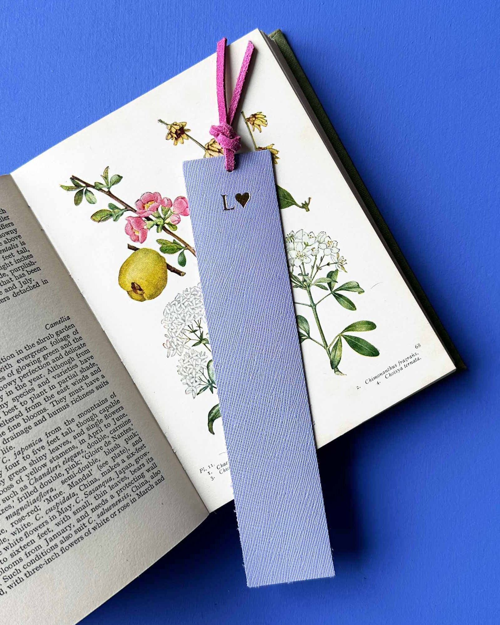 Lilac bookmark with pink tassels on an open book with botanical illustrations against a blue background